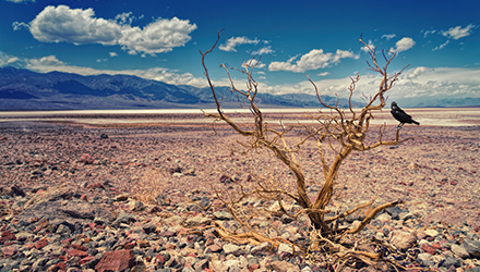 地球温暖化を止めよう